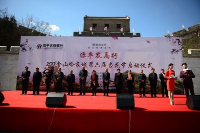 金山嶺上杏花雪，承德春韻醉游人——2018承德賞花季暨第六屆金山嶺長城杏花節(jié)盛大啟幕